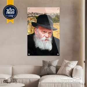 תמונת זכוכית הרבי מילובביץ’ רקע הכותך דגם 3027
